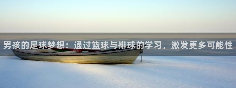 乐球体育app官方下载：男孩的足球梦想：通过篮球与排球的学习，激发更多可能性