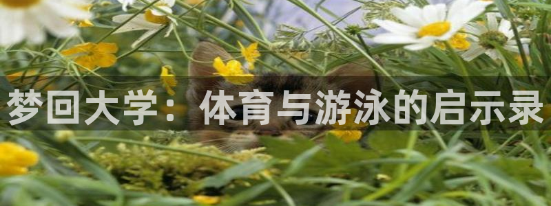 乐球体育官网入口：梦回大学：体育与游泳的启示录