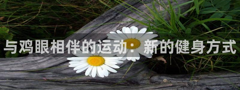 乐球体育直播无插件高清在线观看：与鸡眼相伴的运动：新的健身方式