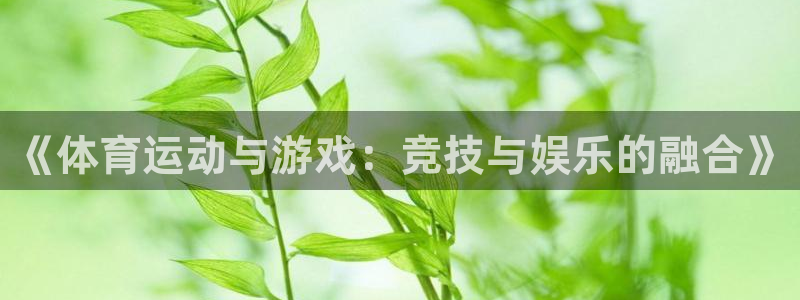 乐球体育苹果手机怎么下载：《体育运动与游戏：竞技与娱乐的融合》