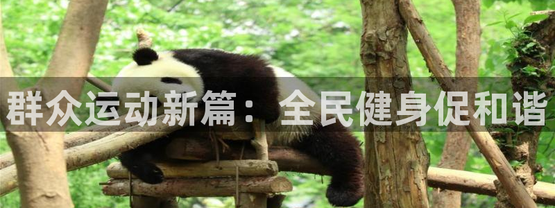 乐球体育NBA：群众运动新篇：全民健身促和谐