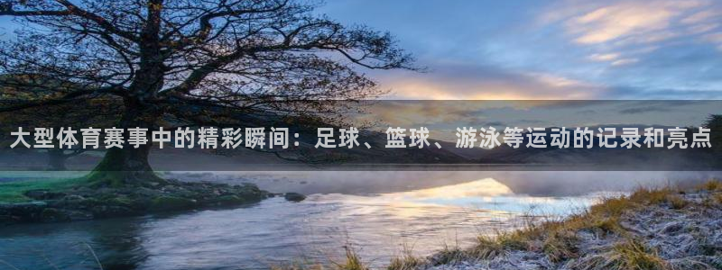 乐球体育苹果手机怎么下载：大型体育赛事中的精彩瞬间：足球、篮球、游泳等运动的记录和亮点