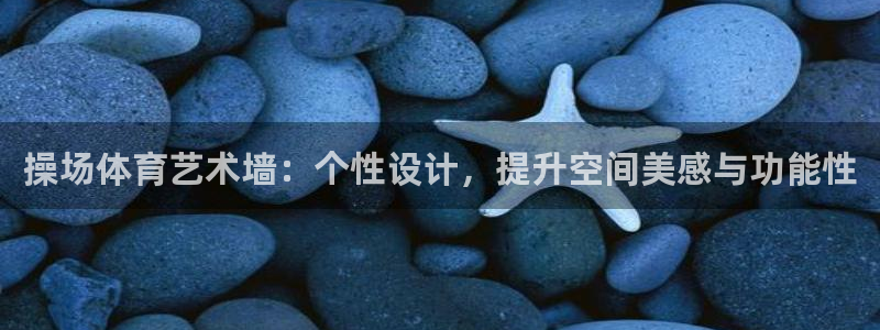 乐球体育火箭对步行者录像：操场体育艺术墙：个性设计，提升空间美感与功能性