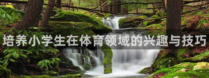 nba乐球体育：培养小学生在体育领域的兴趣与技巧