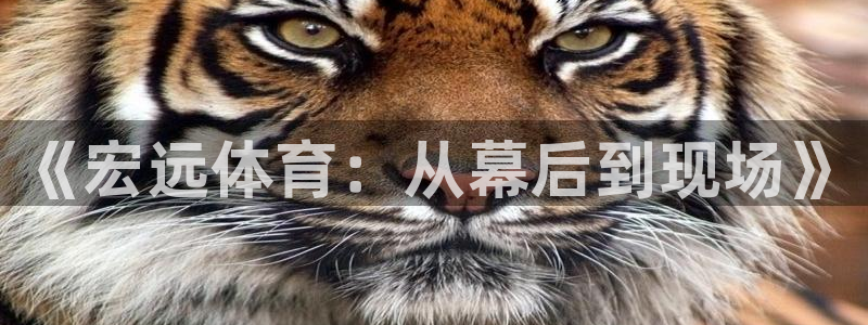 乐球体育现场直播NBA：《宏远体育：从幕后到现场》