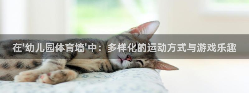 乐球体育火箭对掘金录像：在\'幼儿园体育墙\'中：多样化的运动方式与游戏乐趣