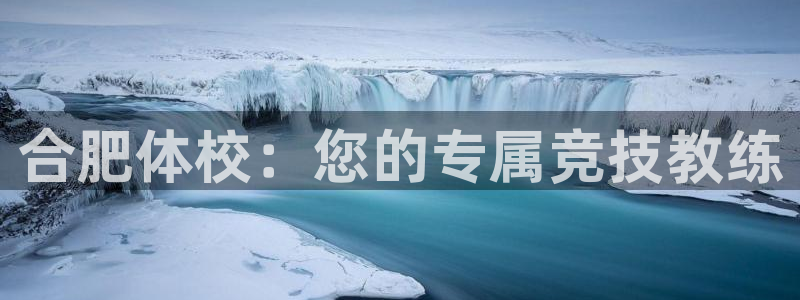 乐球体育无插件：合肥体校：您的专属竞技教练