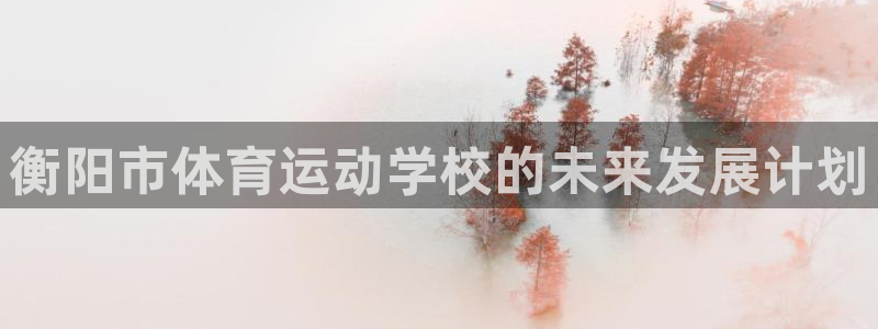 乐球体育无插件：衡阳市体育运动学校的未来发展计划