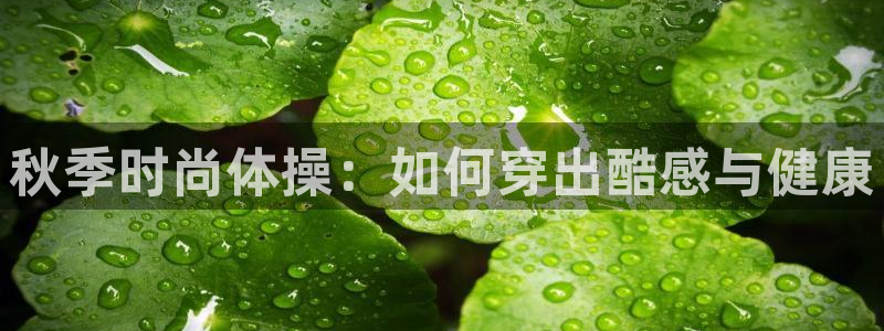 乐球体育新版.sujin.中国：秋季时尚体操：如何穿出酷感与健康