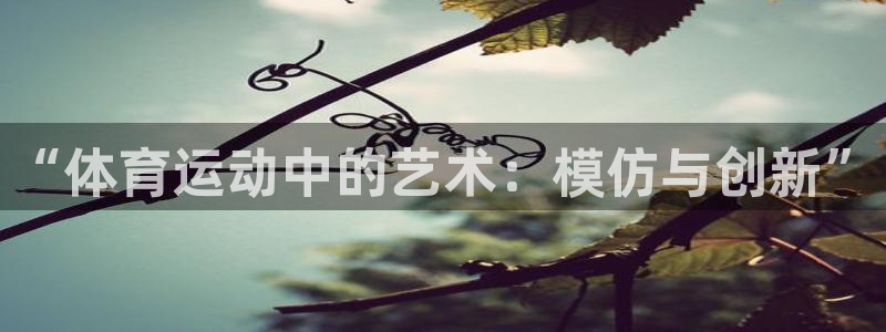 乐球体育官网：“体育运动中的艺术：模仿与创新”